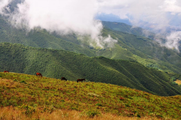 9、浮云不共此山齊,山靄蒼蒼望轉(zhuǎn)迷。(羅鵬 攝).jpg 9、浮云不共此山齊,山靄蒼蒼望轉(zhuǎn)迷。(羅鵬 攝).jpg