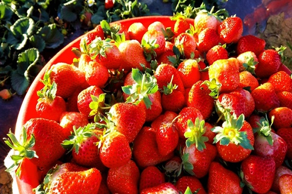 bU5yBKvwMDO869ObiAlOEdpJlsuvPHbLrMficOGW.jpeg bU5yBKvwMDO869ObiAlOEdpJlsuvPHbLrMficOGW.jpeg