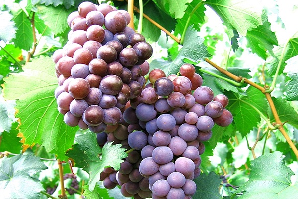 oEztfDdcURq5U5hNNcW6chLhTPK7xcR6Ktg1cJmf.jpeg oEztfDdcURq5U5hNNcW6chLhTPK7xcR6Ktg1cJmf.jpeg