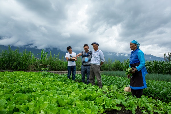 云南大理—圖片新聞(原圖).jpg 云南大理—圖片新聞(原圖).jpg