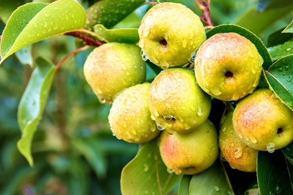 OeZx7RyNFiilTrY8ZzUbKTNl60Up60JrAG7WfJr1.jpeg OeZx7RyNFiilTrY8ZzUbKTNl60Up60JrAG7WfJr1.jpeg