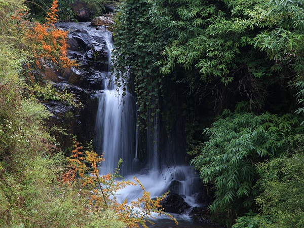 昭通巧家.jpg 昭通巧家.jpg