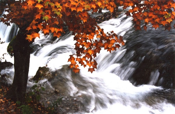 大理祥云.jpg 大理祥云.jpg