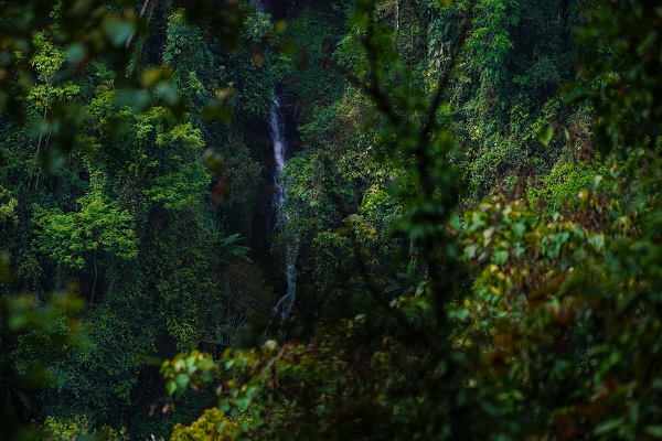 德宏盈江.jpg 德宏盈江.jpg