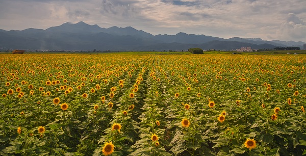 2沾益.jpg 2沾益.jpg