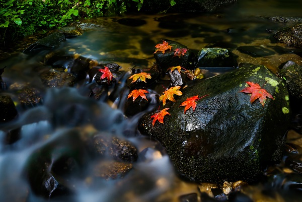 6芒市.jpg 6芒市.jpg