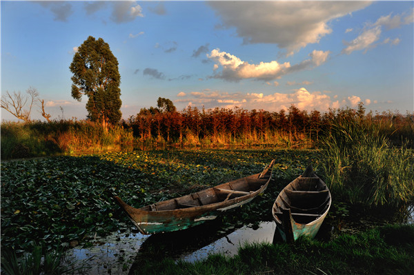 6_副本.jpg 6_副本.jpg