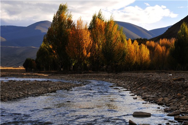 12_副本.jpg 12_副本.jpg