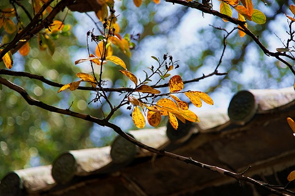 2_副本.jpg 2_副本.jpg