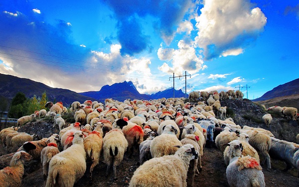 微信圖片_20190822100739.jpg 微信圖片_20190822100739.jpg