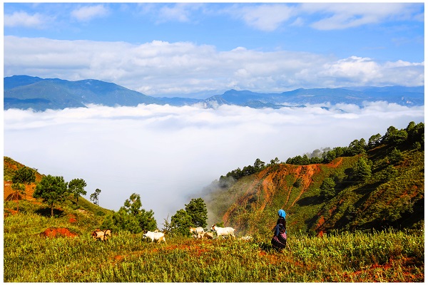 6麗江.jpg 6麗江.jpg