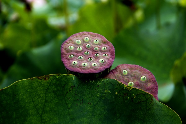 5丘北.jpg 5丘北.jpg