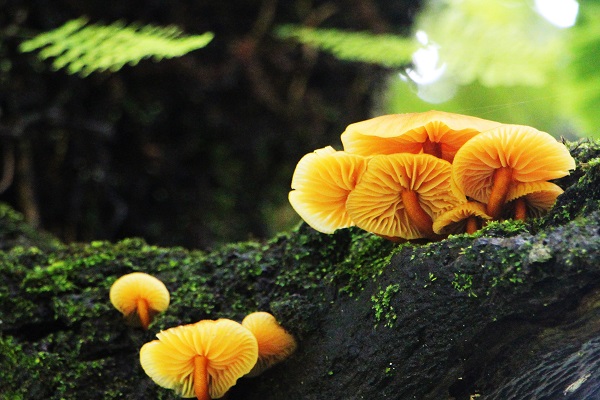 8金平.jpg 8金平.jpg