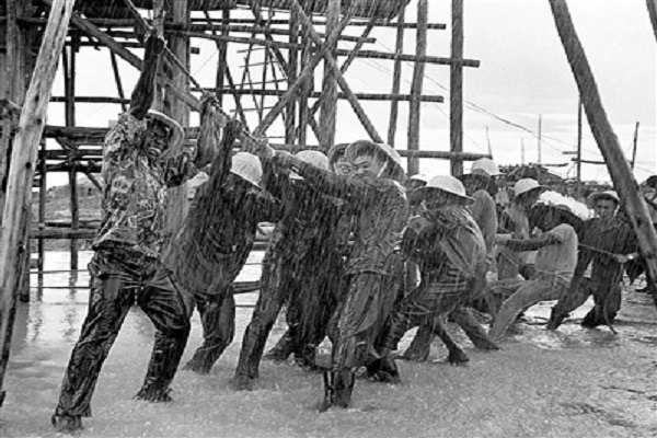 W020190920232567618061.jpg W020190920232567618061.jpg