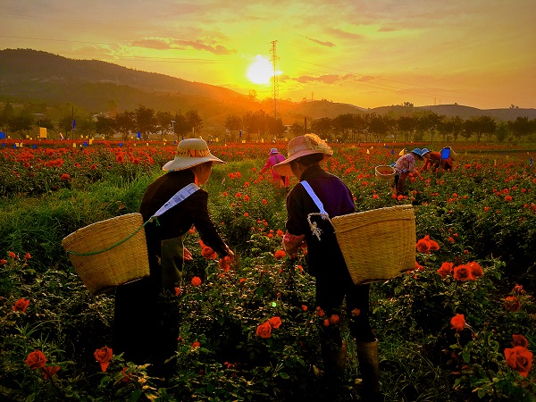 大理彌渡 (1).jpg