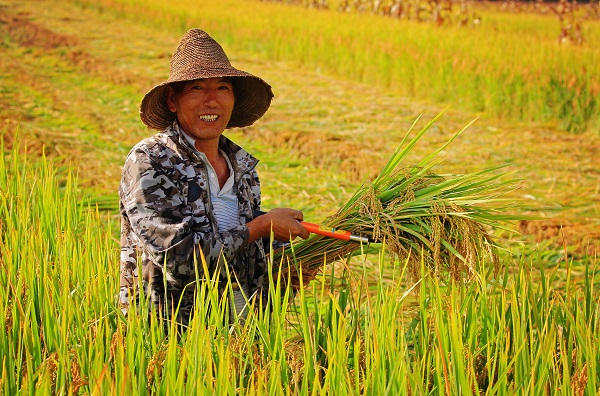 保山 胡東湦.jpg