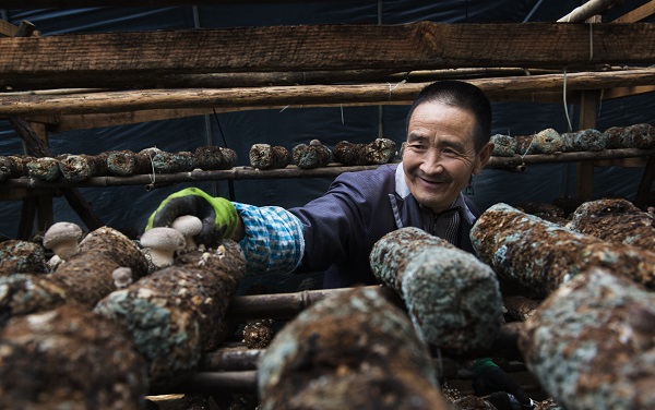 昭通鎮雄 (1).jpg