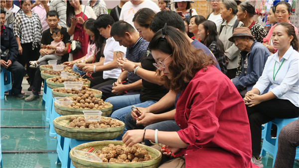 剝核桃大賽(李燦美 攝)_副本.jpg 剝核桃大賽(李燦美 攝)_副本.jpg