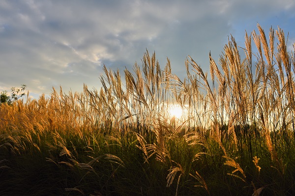 10昌寧.jpg 10昌寧.jpg