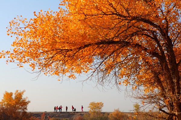 9祿豐.jpg 9祿豐.jpg
