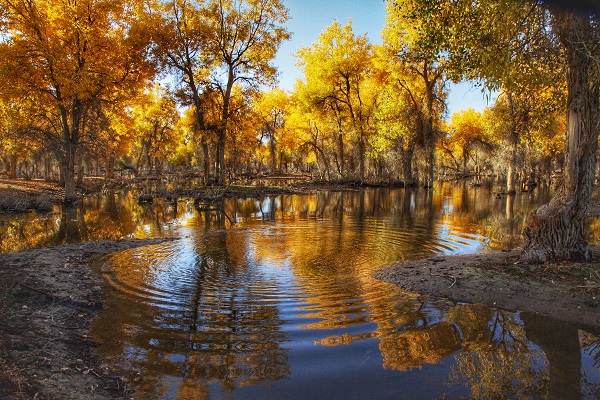 2馬龍區.jpg 2馬龍區.jpg