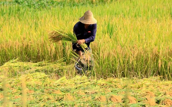 1建水.jpg 1建水.jpg