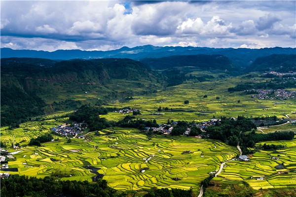 2.自古逢秋悲寂寥,我言秋日勝春朝。朱昌維 攝.jpg 2.自古逢秋悲寂寥,我言秋日勝春朝。朱昌維 攝.jpg