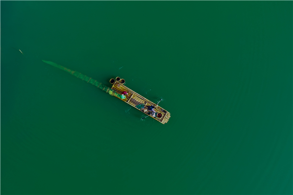 5.水真綠凈不可唾,魚若空行無所依.朱昌維 攝.jpg 5.水真綠凈不可唾,魚若空行無所依.朱昌維 攝.jpg