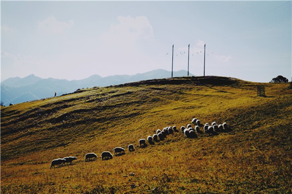 8.云邊雁斷胡天月,隴上羊歸塞草煙。郭凱 攝.jpg 8.云邊雁斷胡天月,隴上羊歸塞草煙。郭凱 攝.jpg