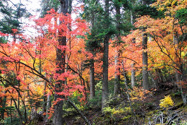 大理劍川.jpg 大理劍川.jpg