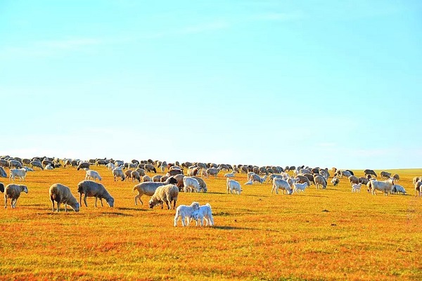 昭通水富.jpg 昭通水富.jpg