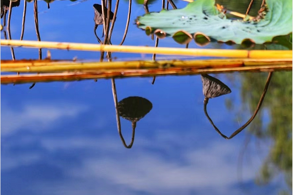 文山市.png 文山市.png