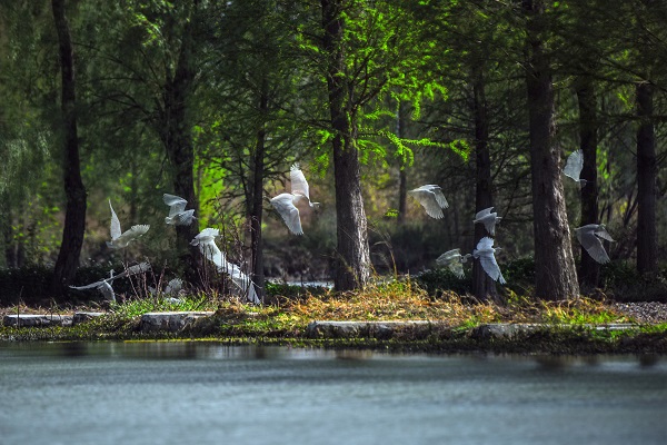 昆明晉寧.jpg 昆明晉寧.jpg