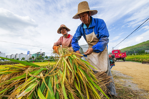 5_副本.jpg 5_副本.jpg