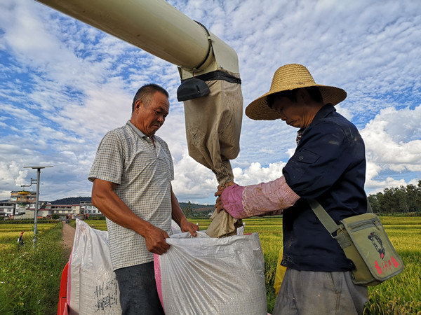 9_副本.jpg 9_副本.jpg