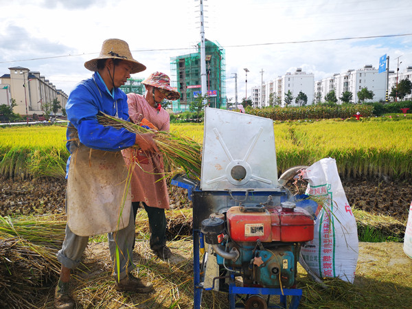 6_副本.jpg 6_副本.jpg