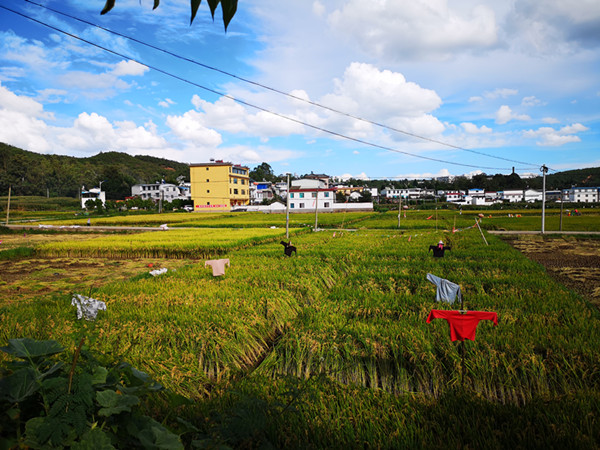 2_副本.jpg 2_副本.jpg