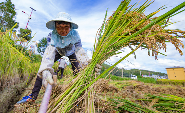 4_副本.jpg 4_副本.jpg