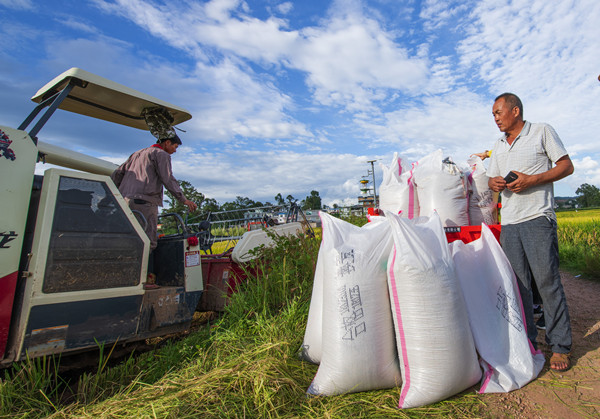 10_副本.jpg 10_副本.jpg