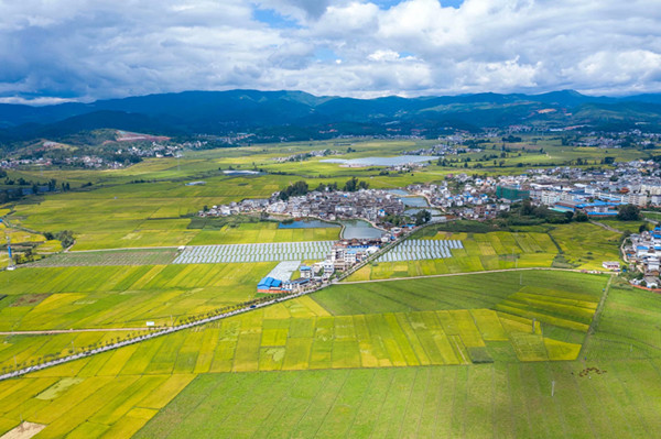 1_副本.jpg 1_副本.jpg