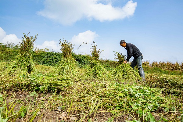 4鎮雄.jpg 4鎮雄.jpg