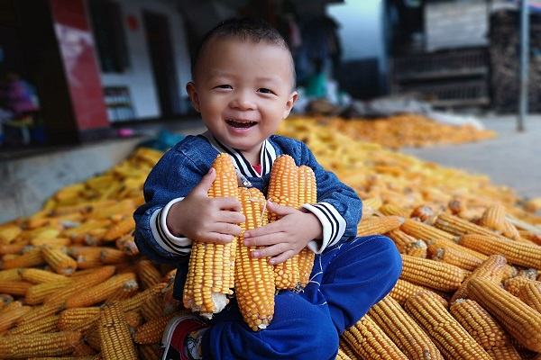 1鎮康.jpg 1鎮康.jpg