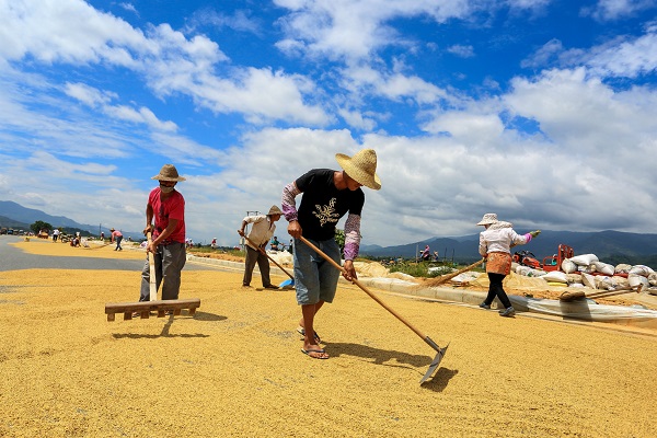 9芒市.jpg 9芒市.jpg