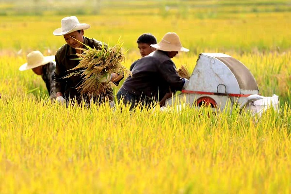 8馬龍.jpg 8馬龍.jpg