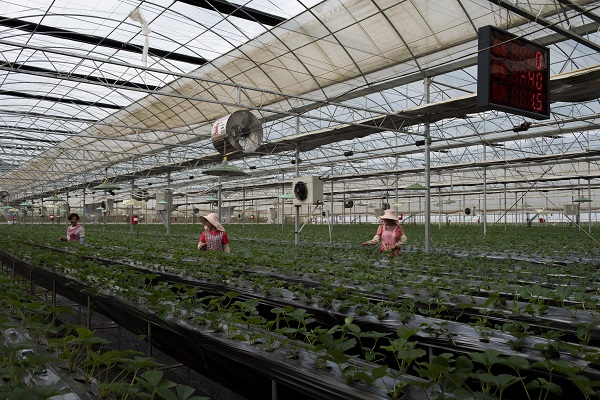 5五華區.jpg 5五華區.jpg