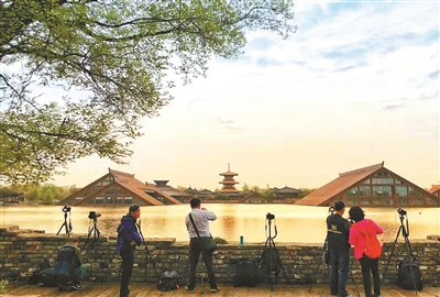 res19_attpic_brief.jpg res19_attpic_brief.jpg