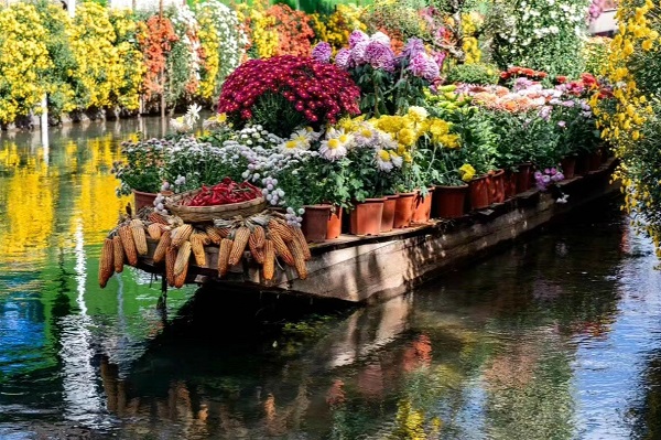 芒市 滿載一船秋色,平鋪十里湖光。原圖.jpg 芒市 滿載一船秋色,平鋪十里湖光。原圖.jpg