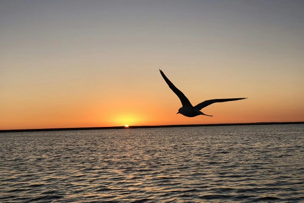 7文山.jpg 7文山.jpg