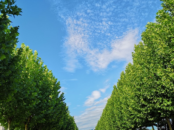 臨滄鎮康.jpg 臨滄鎮康.jpg