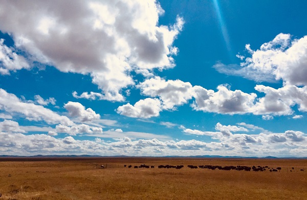 5東川.jpg 5東川.jpg